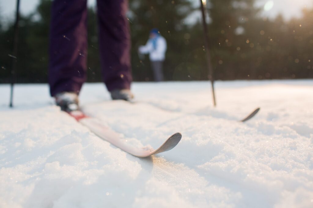 Sci sulla neve fresca